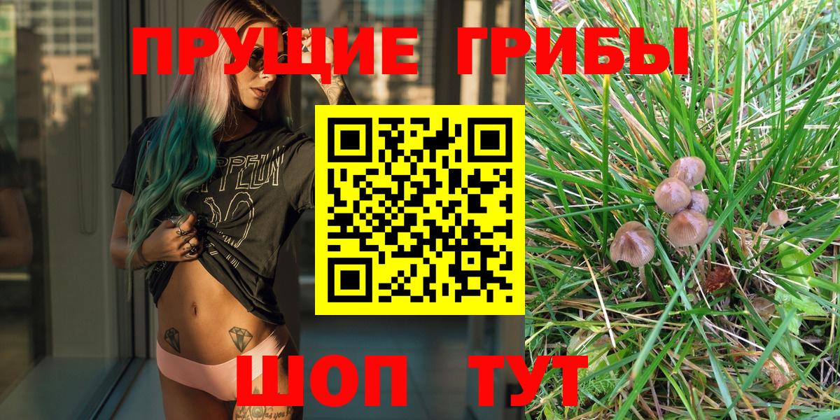 купить наркотик  Вход с VPN  Каменка  Псилоцибиновые грибы MAGIC MUSHROOMS 